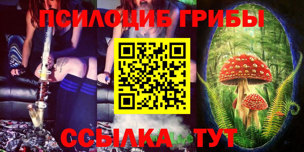 Заводоуковск  Псилоцибиновые грибы мухоморы  Вход с VPN  Галлюциногенные грибы мицелий 